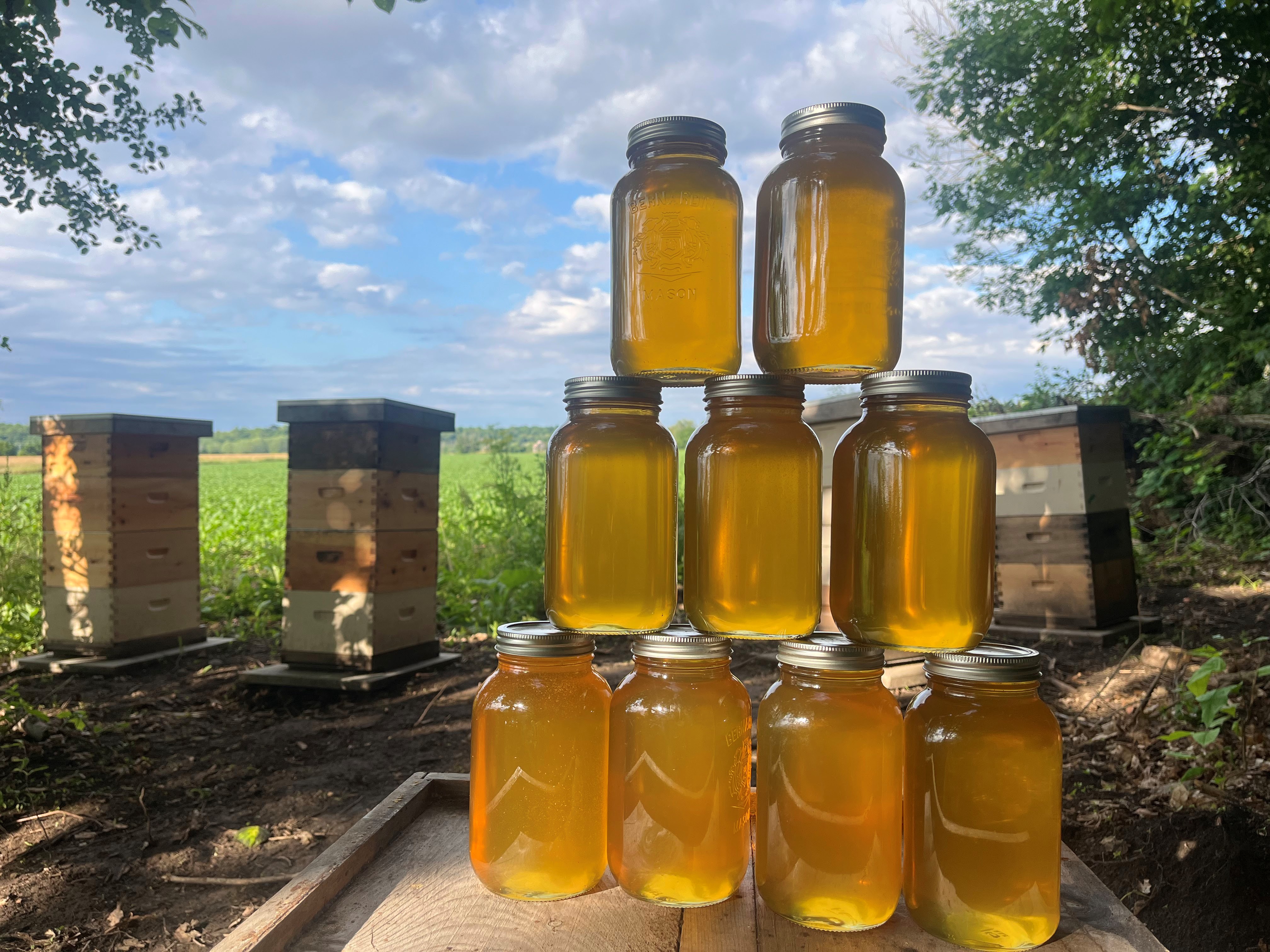 500ml mason jar of raw honey
