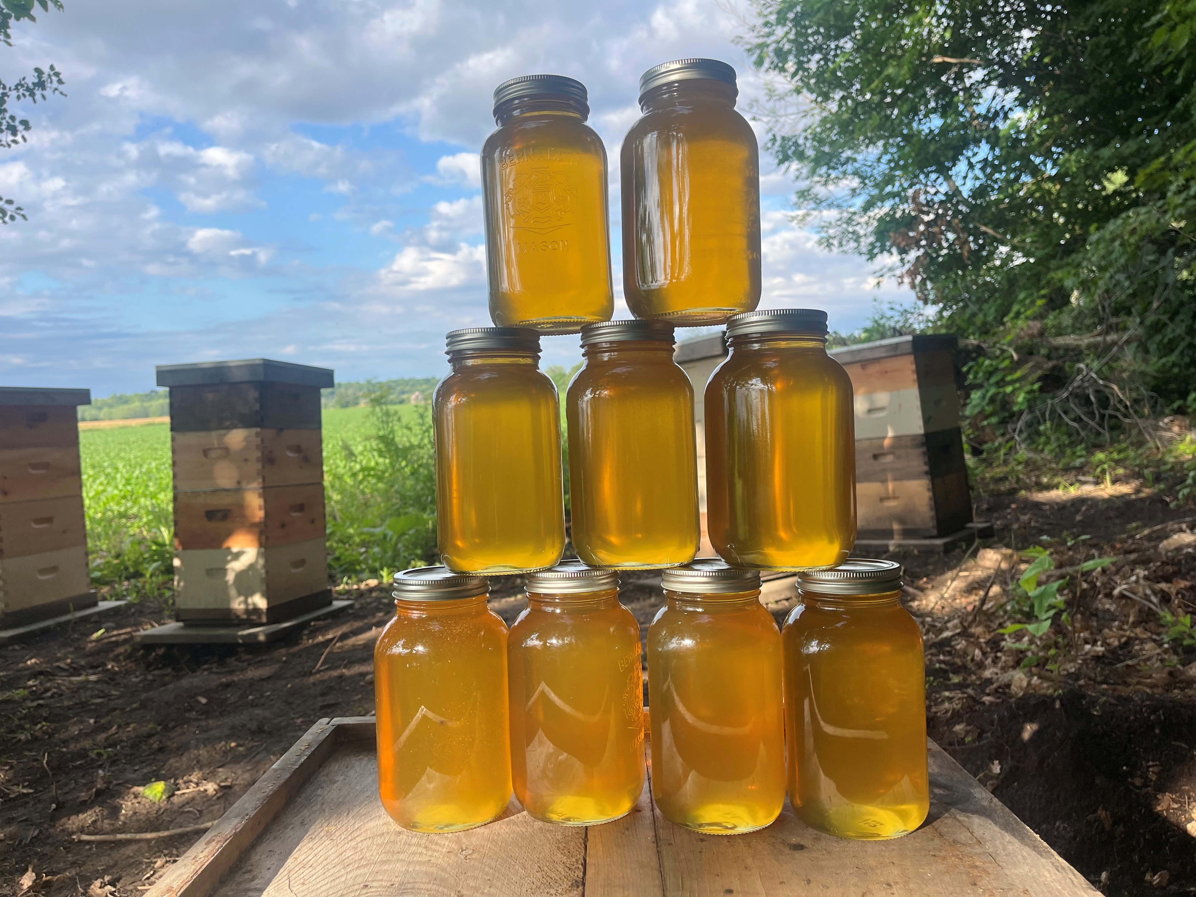 Stacked mason jars of golden raw honey in front of the hives