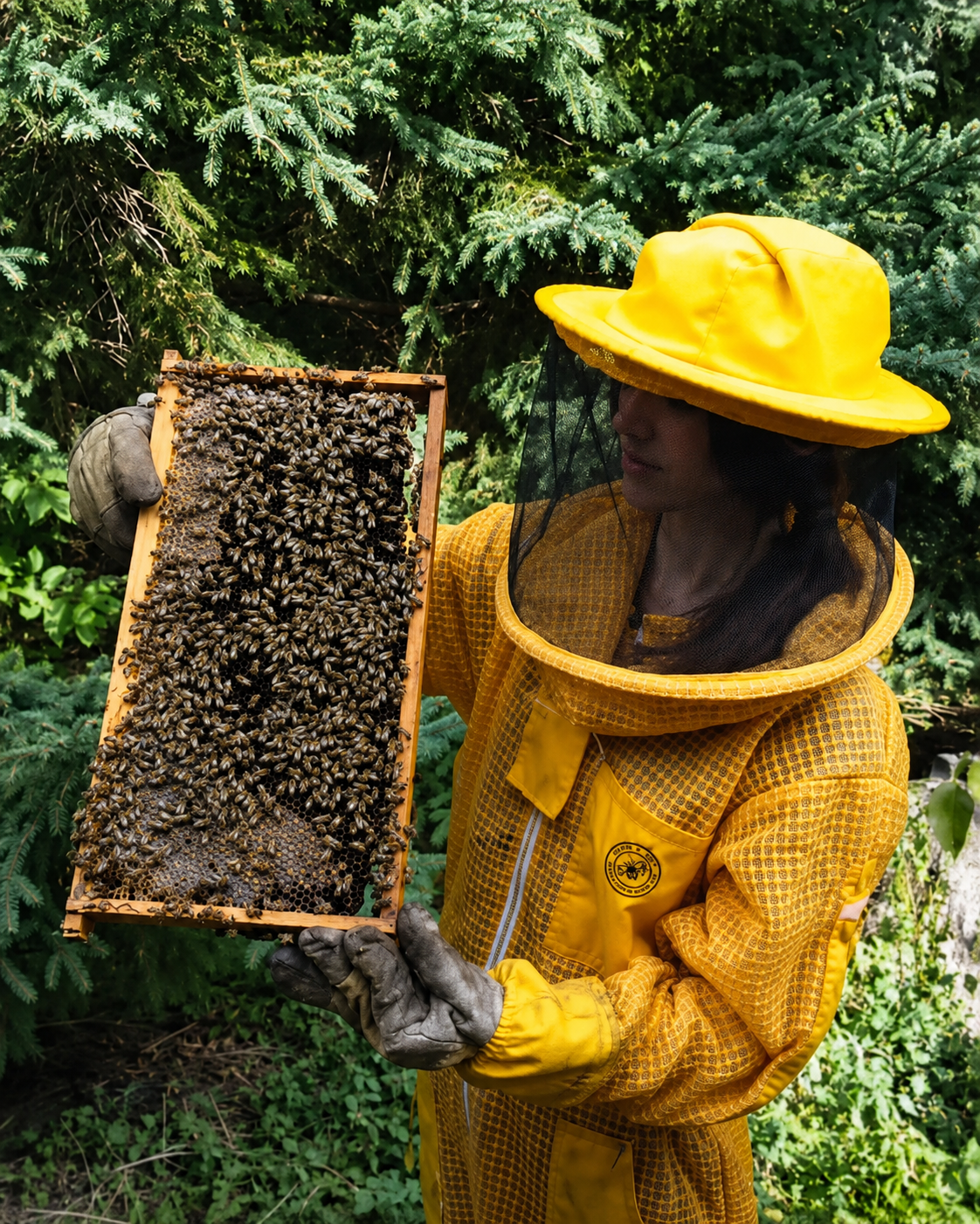 Laila from Burns Bees holding a frame covered in bees
